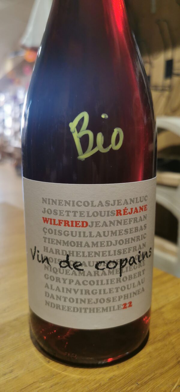Vin des Copains BIO Domaine Wilfried et Réjane